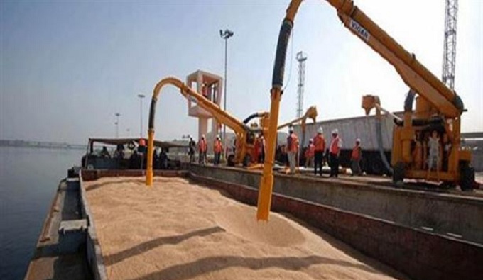 ديوان الحبوب يطرح مناقصة دولية لشراء 75 ألف طن من القمح الصلب